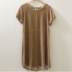 Zara Silk Blend Velvet Dress